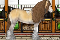 Horse Color:Amber Cream Champagne Onyx Sabino Tobiano Appaloosa 