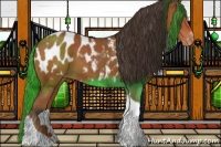 Horse Color:Brown Sabino Tobiano Near Leopard