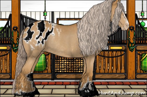 Horse Color:Palomino Sabino Blanket Rabicano