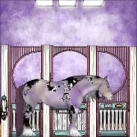 Horse Color:Platinum Black Pearl Sabino Tobiano Varnish Rabicano
