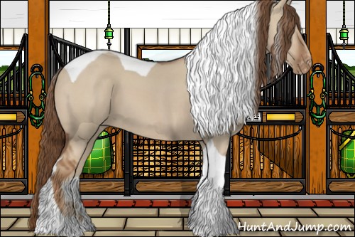 Horse Color:Red Dun Tobiano Appaloosa 