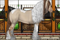 Horse Color:Red Dun Tobiano Appaloosa 