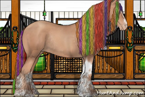 Horse Color:Painted Gold Champagne Sabino Tobiano Appaloosa Rabicano 