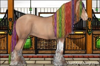 Horse Color:Painted Gold Champagne Sabino Tobiano Appaloosa Rabicano 