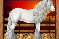 Horse Color:Watercolor White Spotted Silver Black Ice Pearl Splash Rabicano