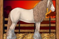 Horse Color:Gold Champagne Dun Sabino
