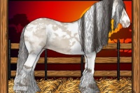 Horse Color:Classic Champagne Dun Sabino Splash Tobiano 