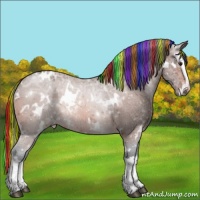 Horse Color:Painted White Spotted Brown Ice Splash