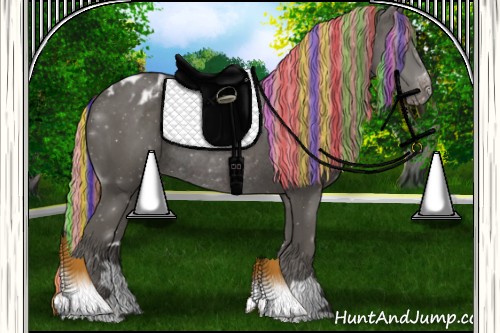 Horse Color:ERROR: UNKNOWN ANOMALY