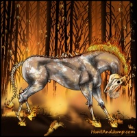 Horse Color:Black Pearl Sabino