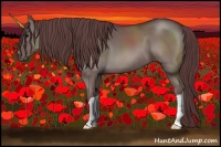 Horse Color:Chocolate Grullo 