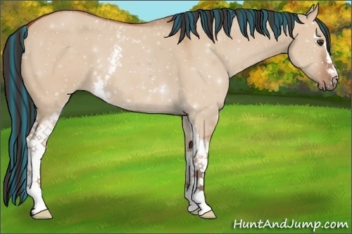 Horse Color:ERROR: UNKNOWN ANOMALY
