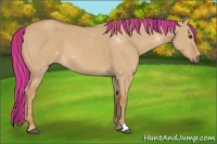 Horse Color:Painted Red Dun 