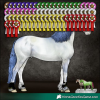 Horse Color:ERROR: UNKNOWN ANOMALY