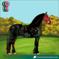 Horse Color:ERROR: UNKNOWN ANOMALY