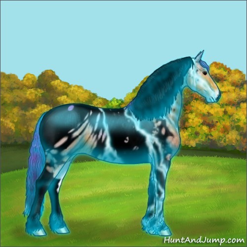 Horse Color:ERROR: UNKNOWN ANOMALY