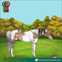 Horse Color:White Spotted Sable Champagne Tobiano Rabicano 