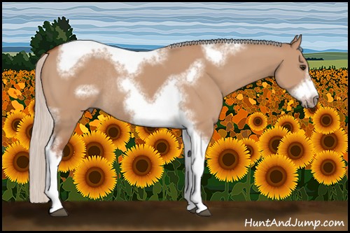 Horse Color:Silver Bay Dun Sabino Tobiano Frame Rabicano 
