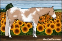 Horse Color:Silver Bay Dun Sabino Tobiano Frame Rabicano 