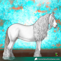 Horse Color:Gray White Spotted Liver Chestnut Appaloosa 