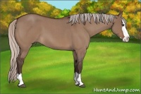 Horse Color:Silver Brown Roan Dun Splash 