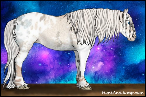 Horse Color:White Spotted Silver Classic Champagne Ice Dun Splash Appaloosa Rabicano 