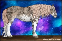 Horse Color:White Spotted Gold Champagne Ice Dun Splash 