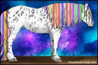 Horse Color:Painted White Spotted Silver Amber Champagne Ice Dun Splash Tobiano Appaloosa Rabicano 