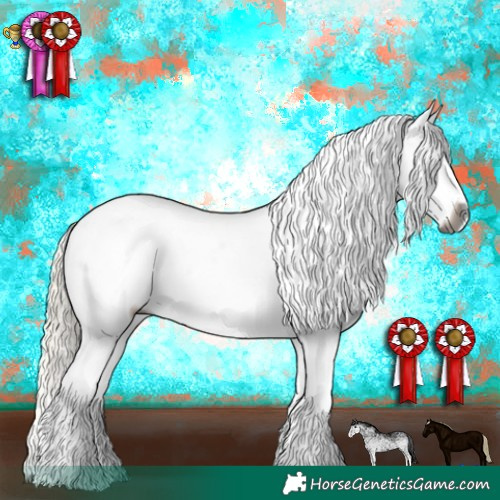 Horse Color:Gray White Spotted Silver Buckskin Sabino Appaloosa 