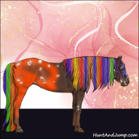 Horse Color:Painted White Spotted Liver Chestnut Rabicano 