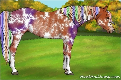 Horse Color:Painted White Spotted Silver Bay Rabicano 
