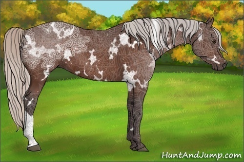 Horse Color:White Spotted Silver Brown Ice 