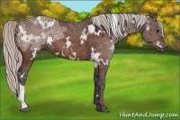 Horse Color:White Spotted Silver Brown Ice