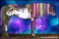 Horse Color:Painted White Spotted Liver Chestnut Frame Rabicano 