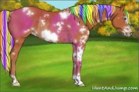 Horse Color:Painted White Spotted Silver Bay Frame Rabicano 