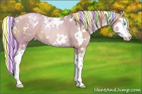 Horse Color:Painted White Spotted Chocolate Palomino Pearl Splash Rabicano