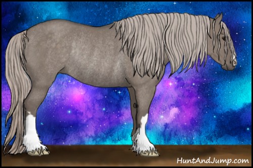 Horse Color:Silver Grullo Rabicano 