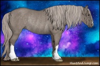 Horse Color:Silver Grullo Rabicano 