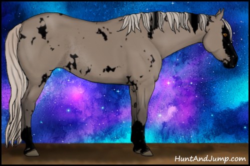 Horse Color:Void White Spotted Silver Grullo Splash Rabicano 