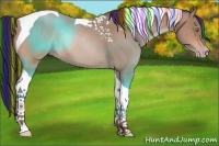 Horse Color:Painted Sable Champagne Tobiano Rabicano