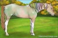 Horse Color:Painted Gold Champagne Tobiano Rabicano 