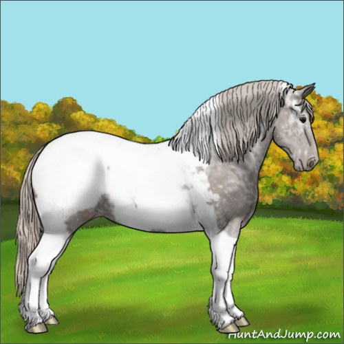 Horse Color:Silver Black Ice Tobiano Snowcap 