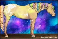 Horse Color:Painted White Spotted Silver Amber Champagne Appaloosa Rabicano