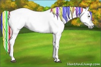 Horse Color:Gray Painted Brown Rabicano 