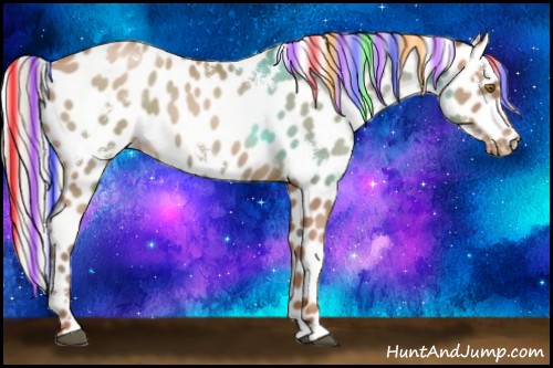 Horse Color:Painted White Spotted Silver Brown Pearl Appaloosa Rabicano 