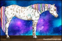 Horse Color:Painted White Spotted Silver Brown Pearl Appaloosa Rabicano 