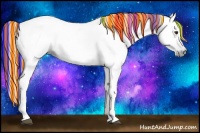 Horse Color:Gray Painted White Spotted Midnight Liver Chestnut