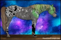 Horse Color:White Spotted Liver Chestnut Ice Sabino Blanket Rabicano 
