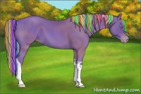 Horse Color:Painted Gold Cream Champagne Tobiano Rabicano 