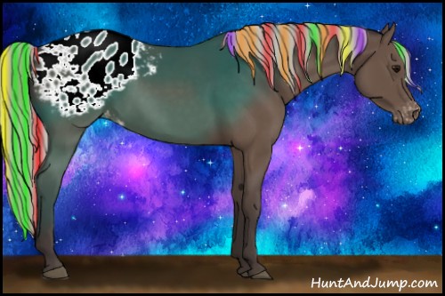 Horse Color:Painted Silver Black Appaloosa